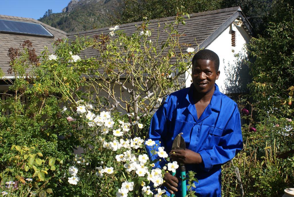 Klein Bosheuwel Guest House Cape Town Exterior photo